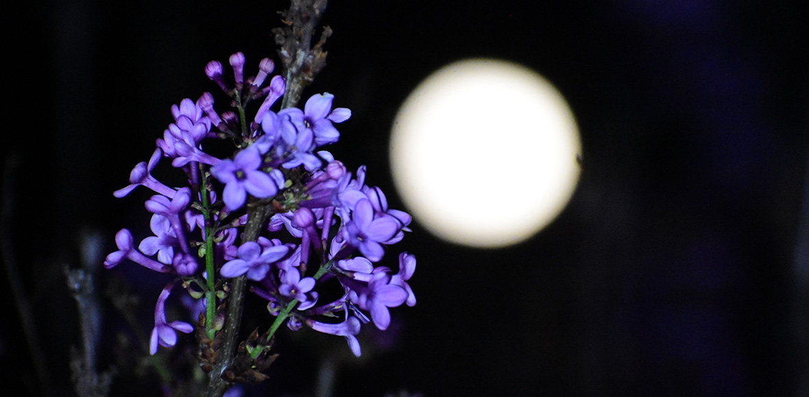 Πανσέληνος στην Αργολίδα